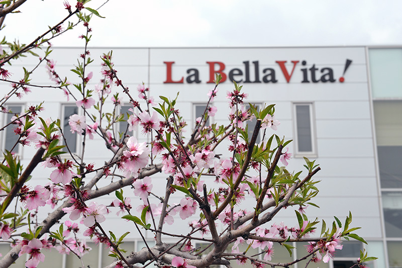 Cortinaの猪谷さんが社にお見えになりました。