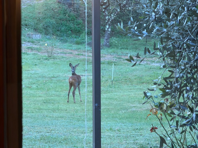 ヨーロッパは秋です。