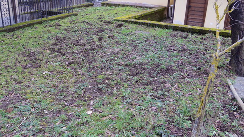 デブになりました！