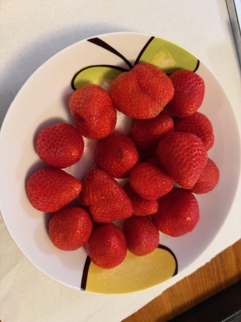 食べ物の変化